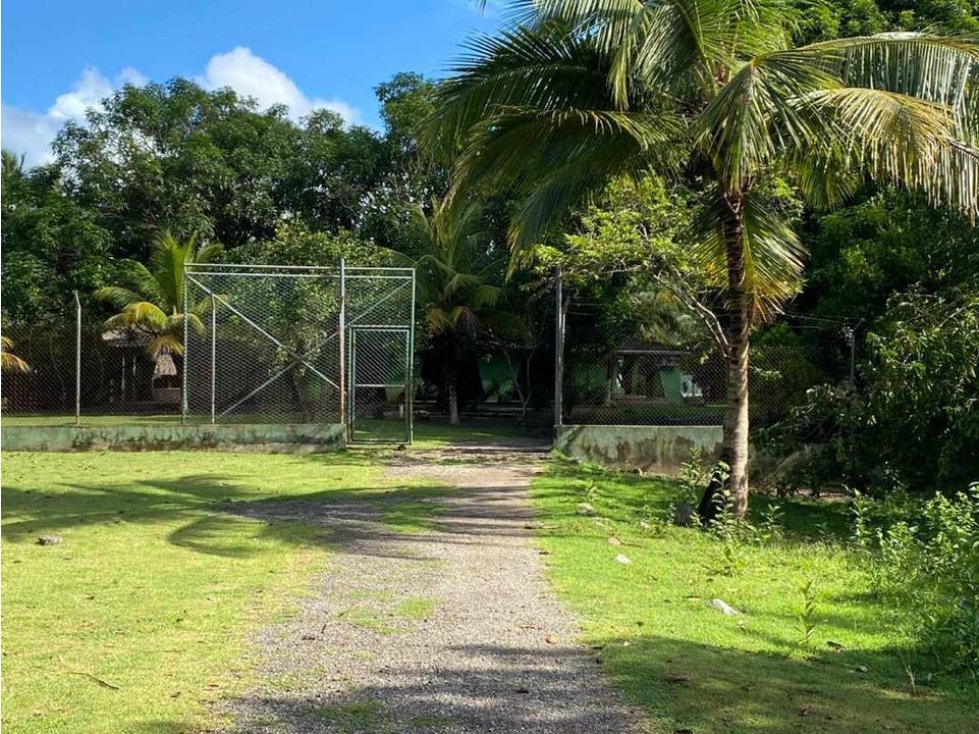 Se vende finca en río ancho corregimiento de mingueo la guajira - 2