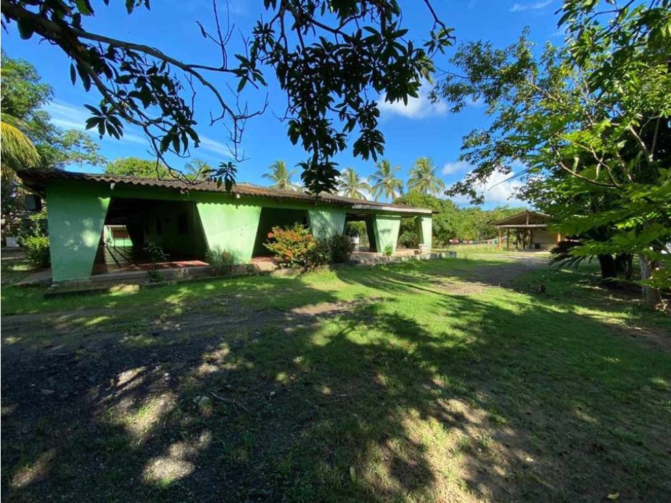 Se vende finca en río ancho corregimiento de mingueo la guajira - 6
