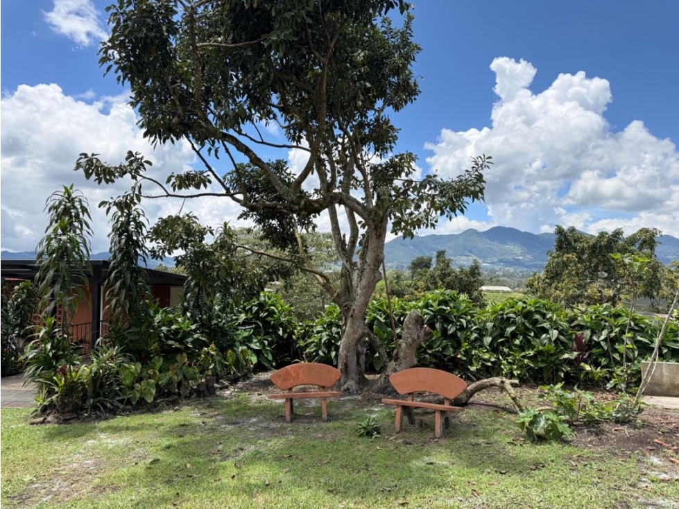 Se vende finca en Samaria en El Carmen de Viboral — foto 3