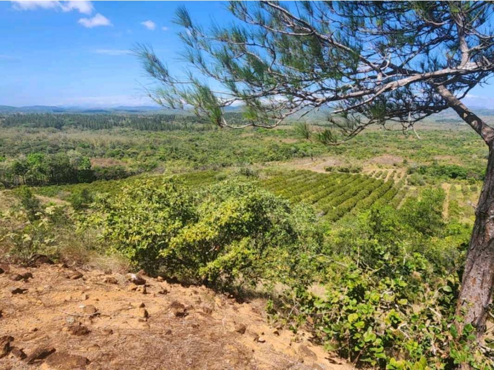 Se vende Finca en San Francisco de Veraguas - 2