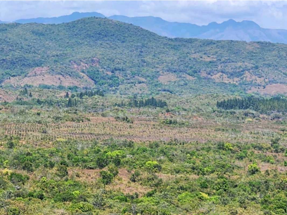 Se vende Finca en San Francisco de Veraguas - 3
