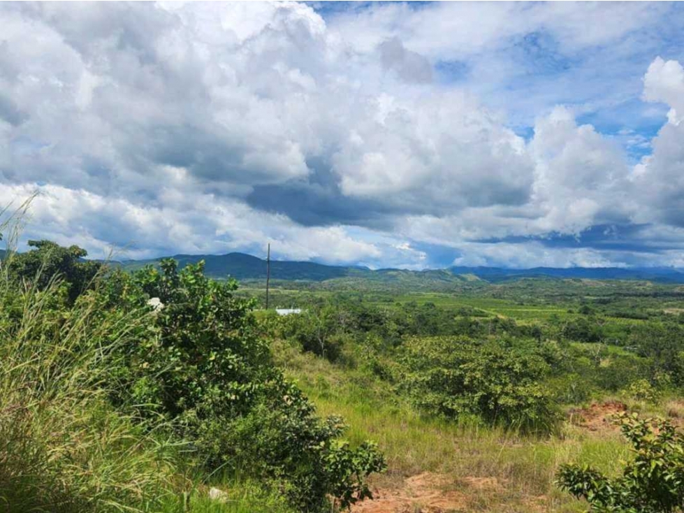 Se vende Finca en San Francisco de Veraguas - 5