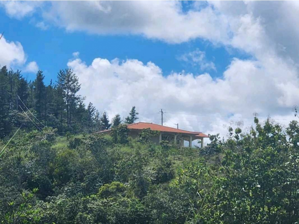 Se vende Finca en San Francisco de Veraguas - 6