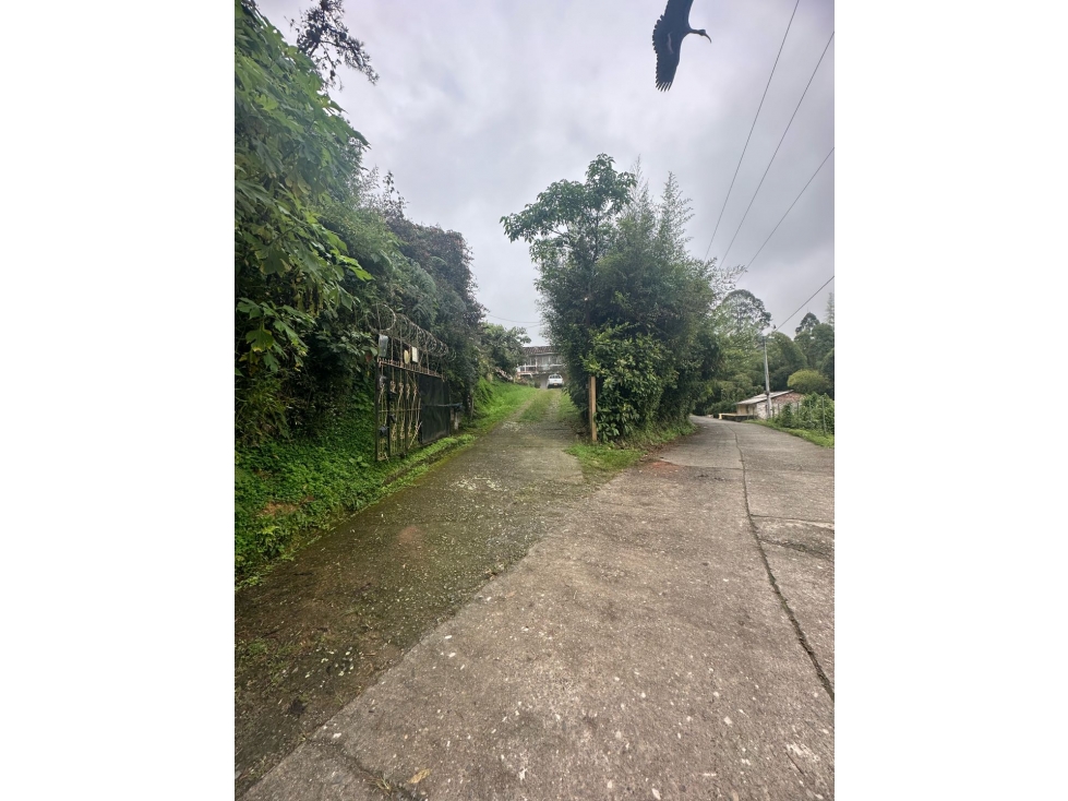 SE VENDE FINCA EN SANTA ROSA DE CABAL — foto 4