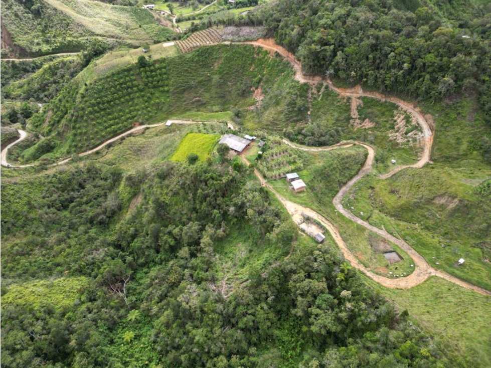 Se vende finca en Santo Domingo Antioquía - 1