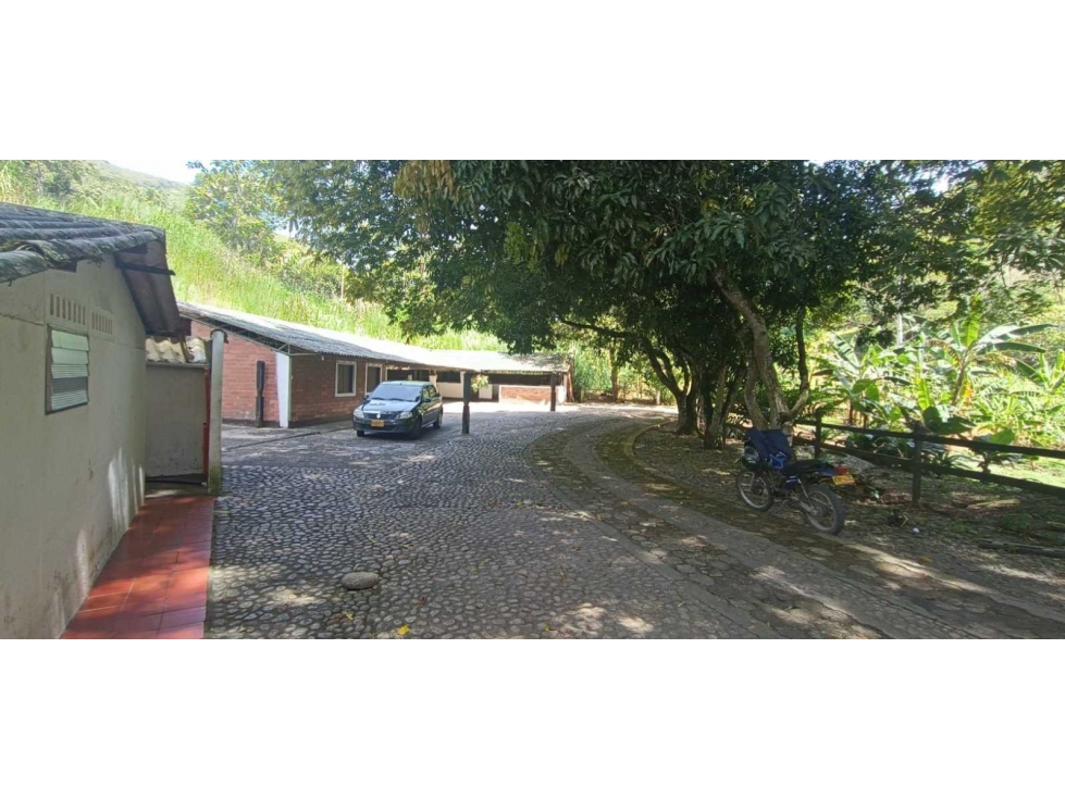 Se vende finca en titiribi Antioquia - 2
