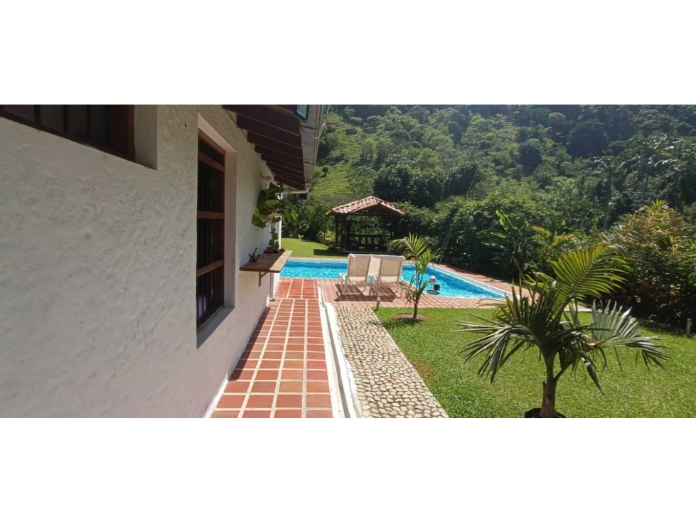 Se vende finca en titiribi Antioquia - 3