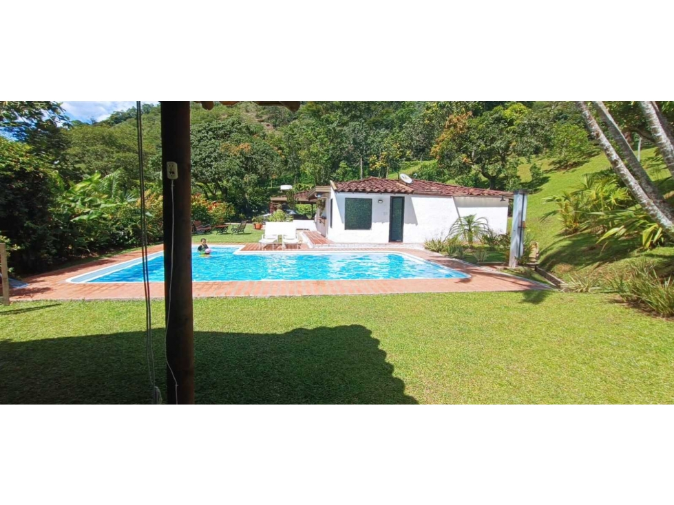 Se vende finca en titiribi Antioquia - 4
