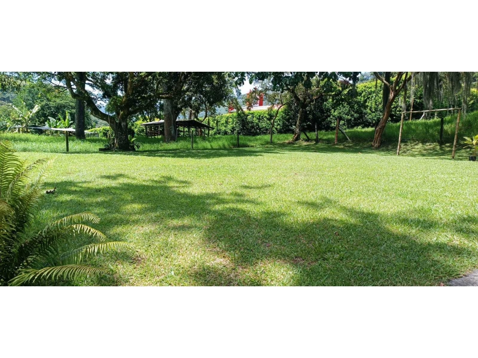 Se vende finca en titiribi Antioquia - 5