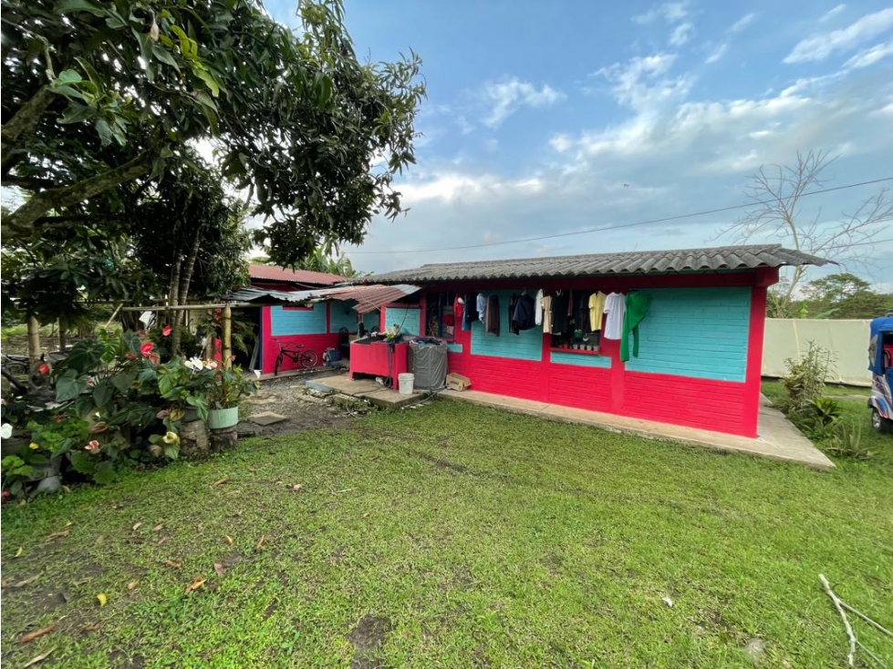 SE VENDE FINCA ENTRE QUIMBAYA Y FILANDIA - 2