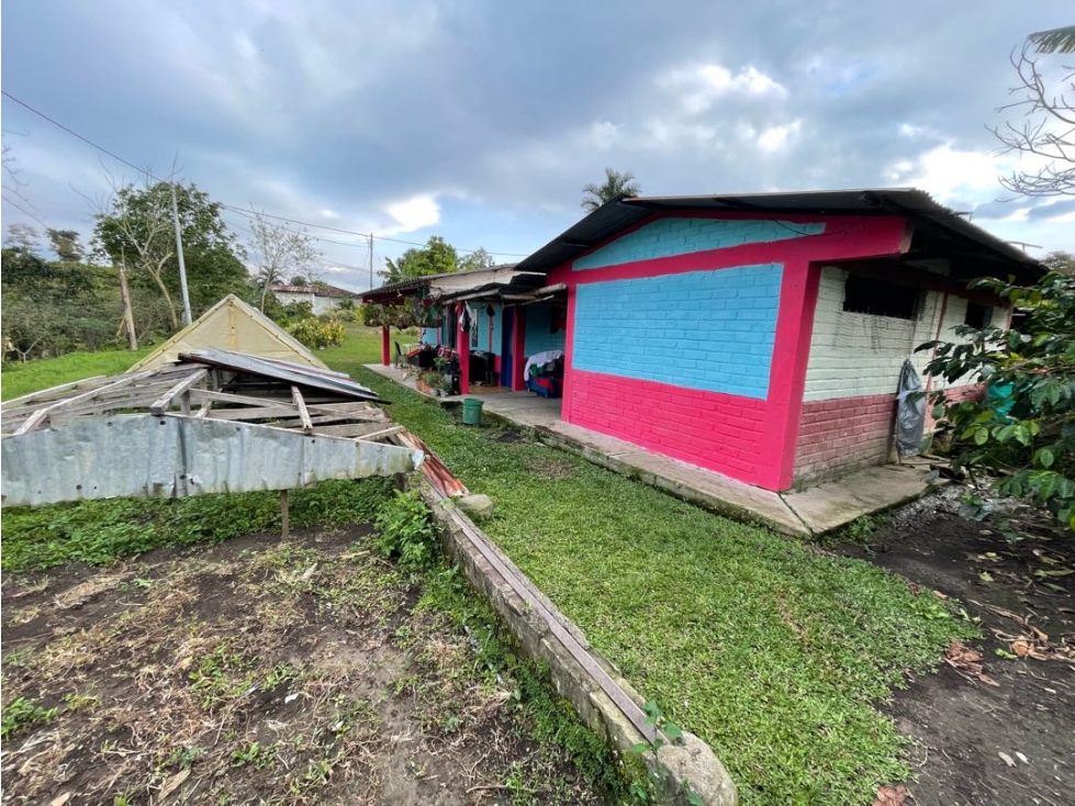 SE VENDE FINCA ENTRE QUIMBAYA Y FILANDIA - 3