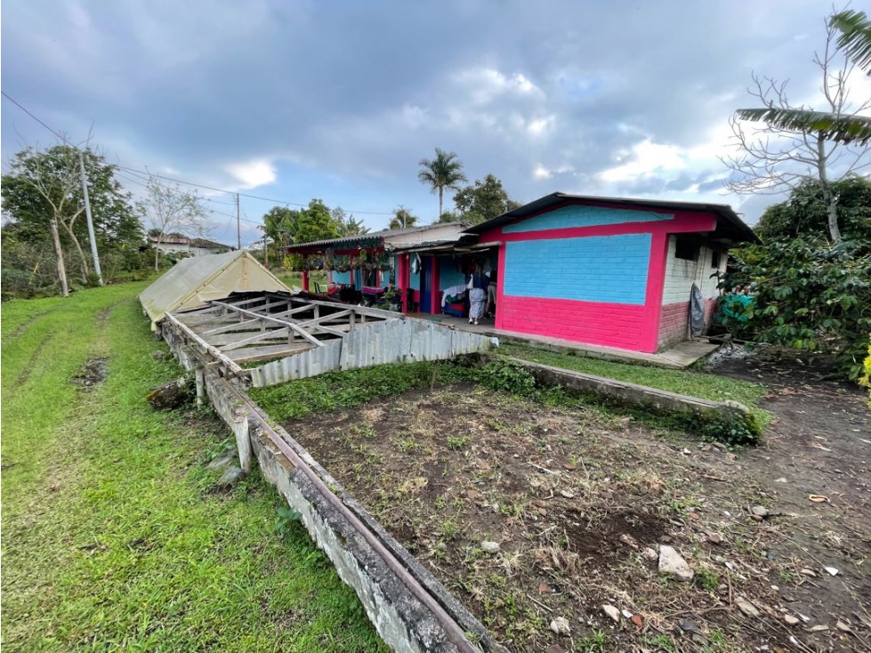 SE VENDE FINCA ENTRE QUIMBAYA Y FILANDIA - 4