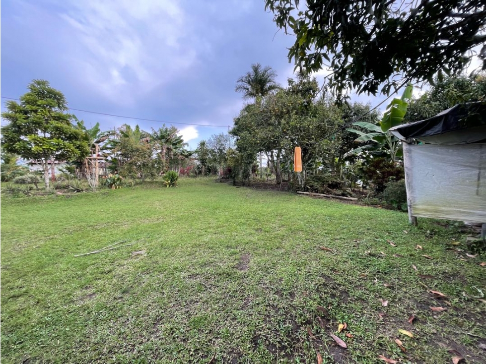 SE VENDE FINCA ENTRE QUIMBAYA Y FILANDIA - 5