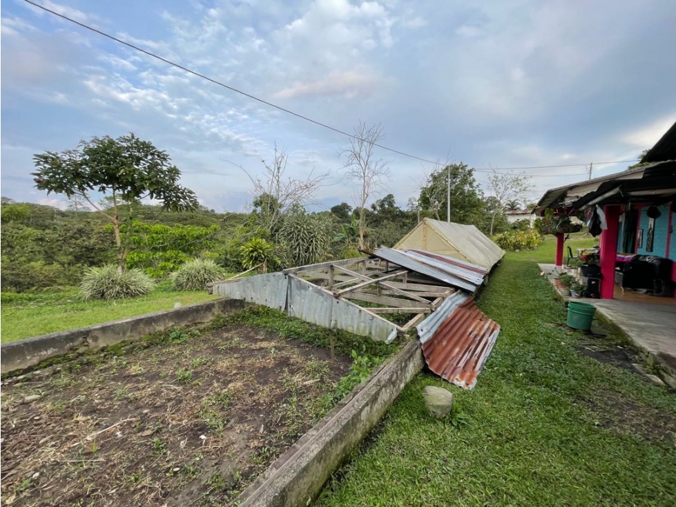 SE VENDE FINCA ENTRE QUIMBAYA Y FILANDIA - 6