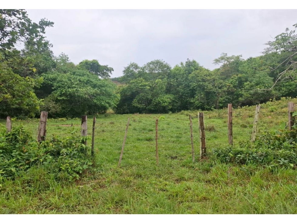 SE VENDE FINCA GANADERA 150 HECTÁREAS EN PORE, CASANARE - 3
