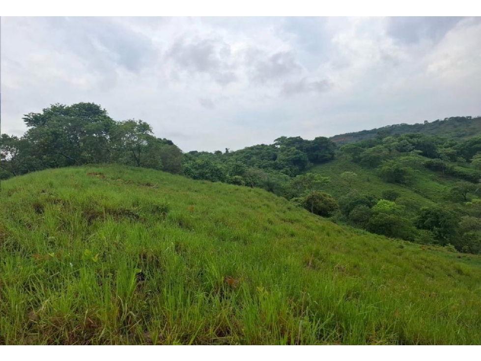 SE VENDE FINCA GANADERA 150 HECTÁREAS EN PORE, CASANARE - 5