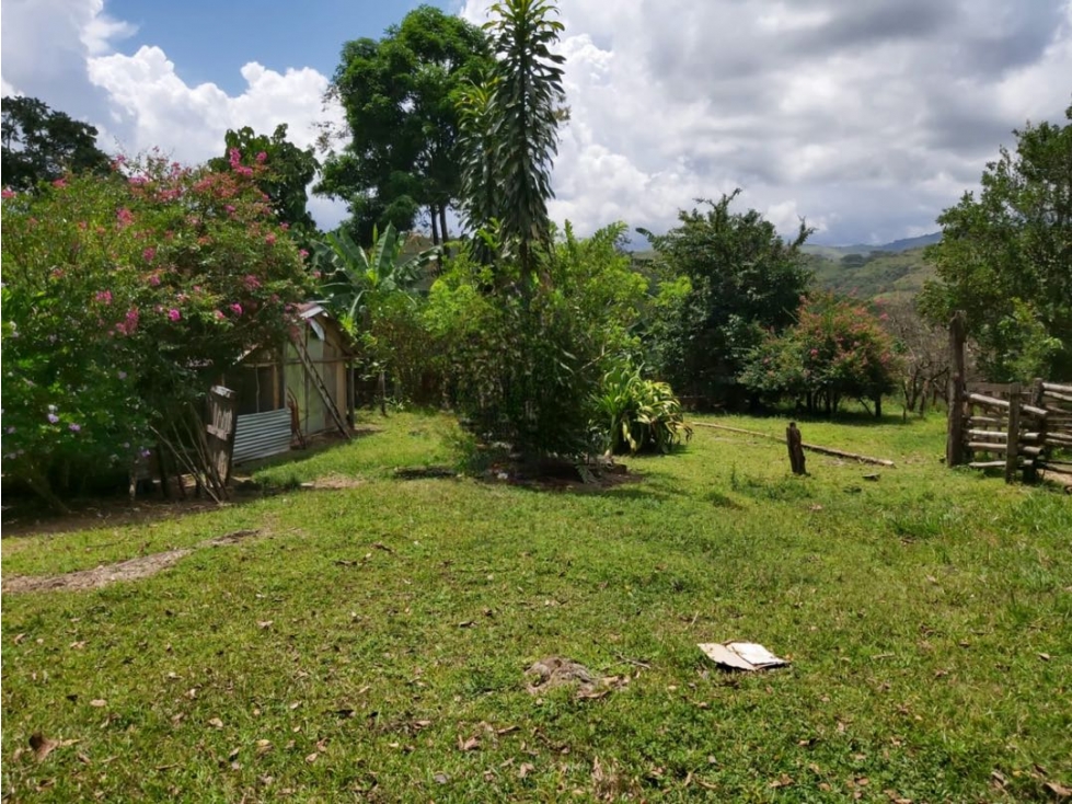 SE VENDE FINCA GANADERA 26 HECTÁREAS, VEREDA BUENA VISTA-YOPAL - 2