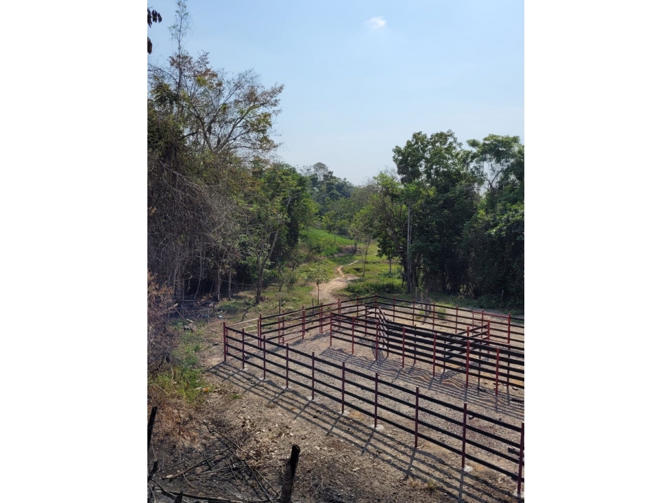SE VENDE FINCA GANADERA EN BARRANCABERMEJA -CORREGIMIENTO EL CENTRO - 1