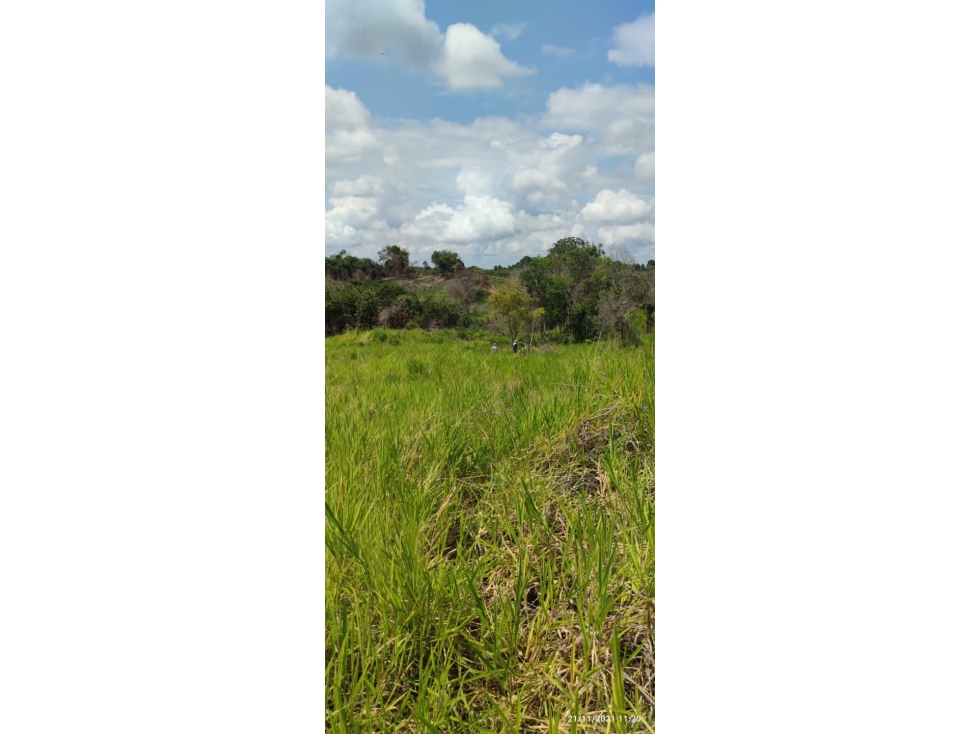 SE VENDE FINCA GANADERA EN BARRANCABERMEJA -CORREGIMIENTO EL CENTRO - 3