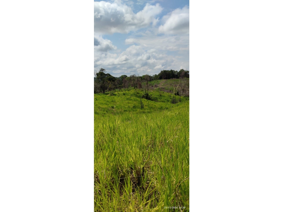 SE VENDE FINCA GANADERA EN BARRANCABERMEJA -CORREGIMIENTO EL CENTRO - 4
