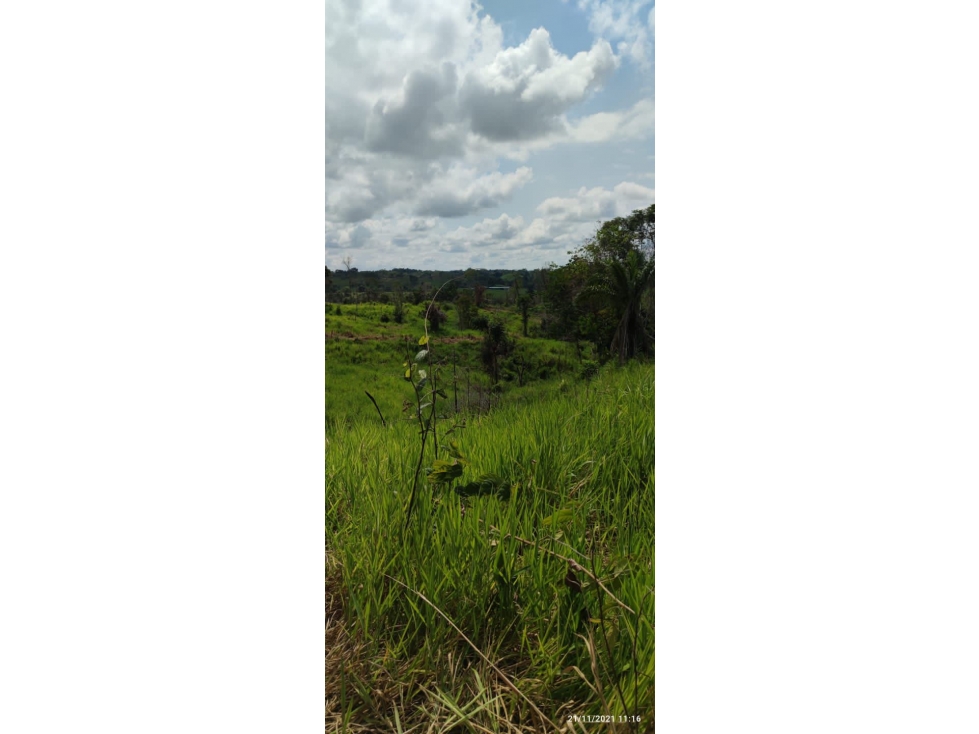 SE VENDE FINCA GANADERA EN BARRANCABERMEJA -CORREGIMIENTO EL CENTRO - 5