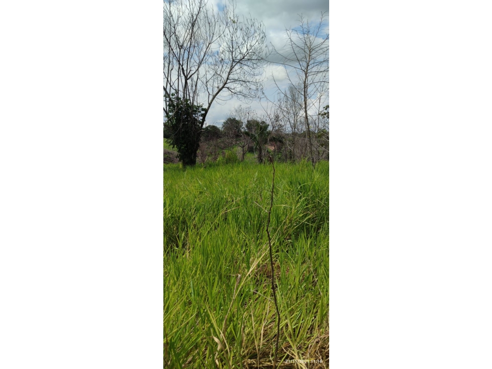 SE VENDE FINCA GANADERA EN BARRANCABERMEJA -CORREGIMIENTO EL CENTRO - 6