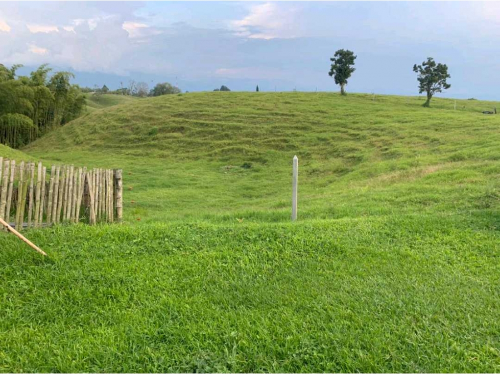 Se vende Finca Ganadera en Circasia. Quindío. — foto 3