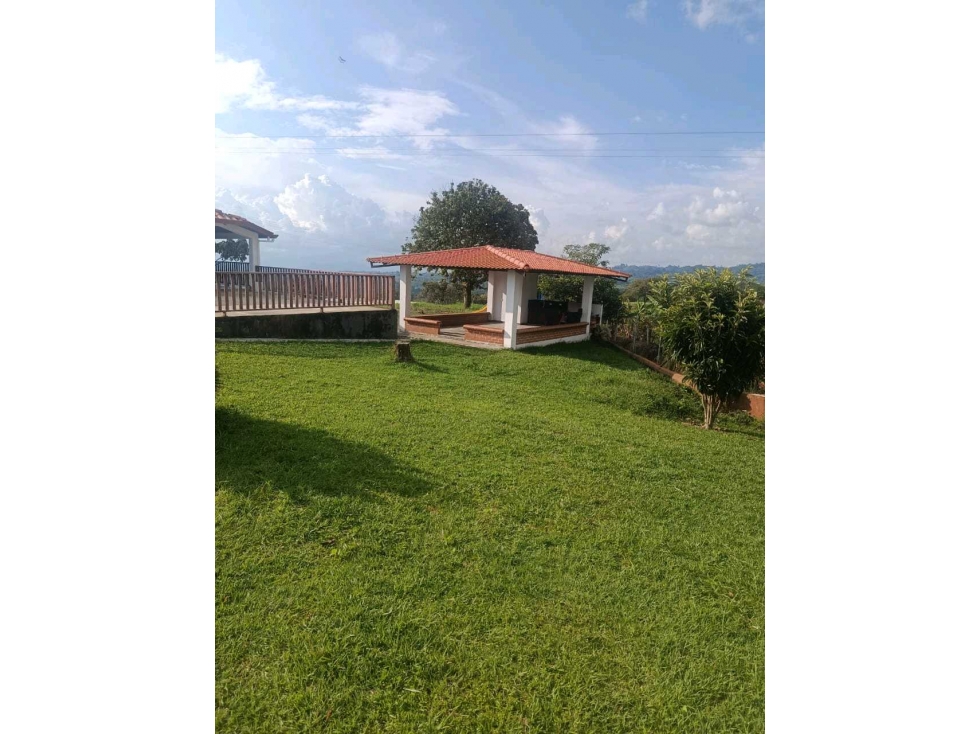 Se vende Finca Ganadera en Circasia. Quindío. — foto 5