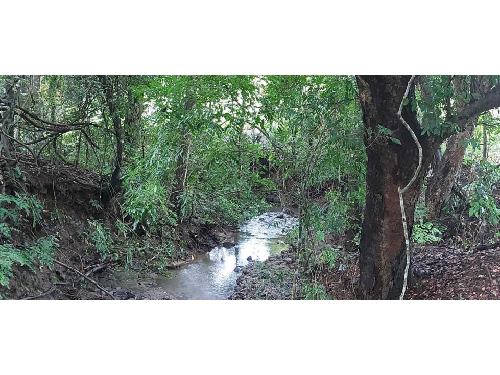 SE VENDE FINCA GANADERA EN LAS TABLAS - 2