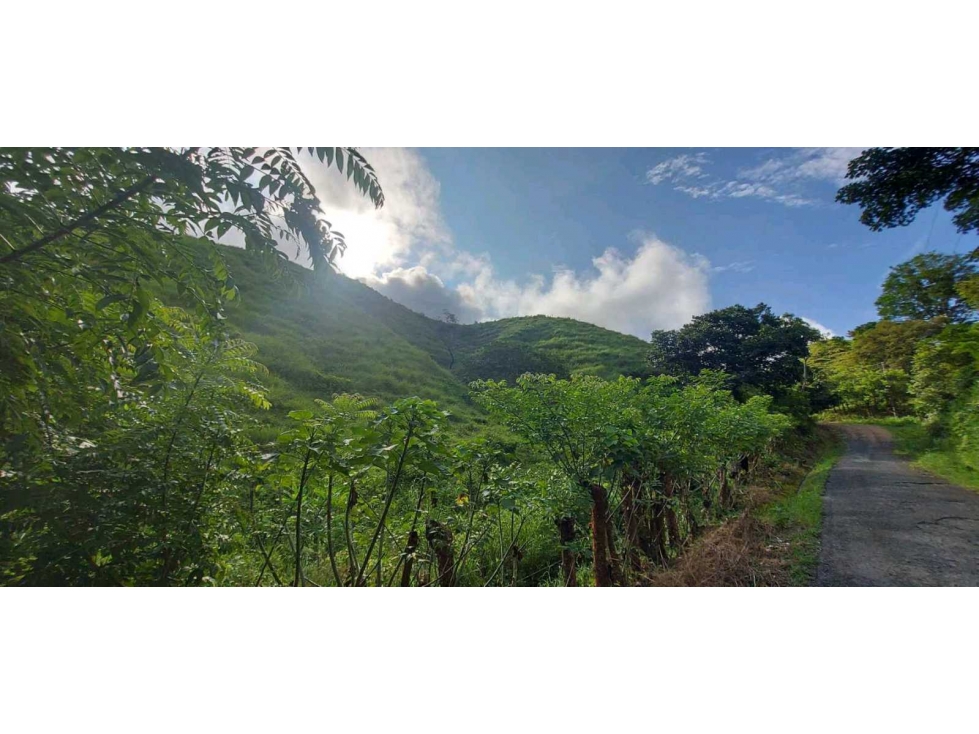 SE VENDE FINCA GANADERA EN LAS TABLAS - 4