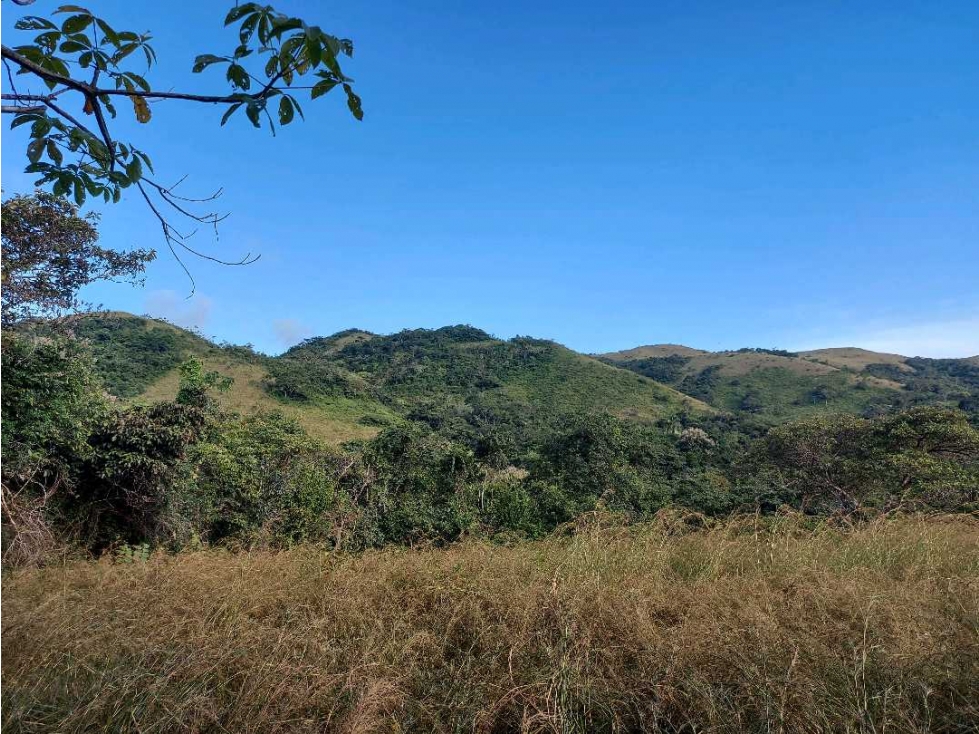 SE VENDE FINCA LAS CUESTAS VÍA TOABRÉ PENONOMÉ - 1