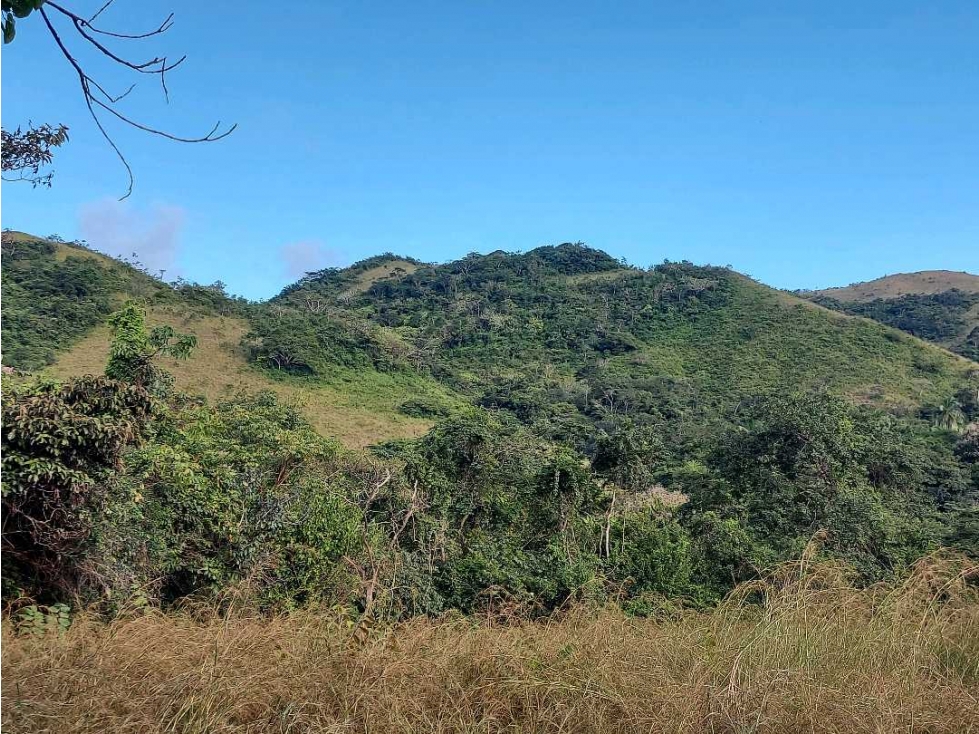 SE VENDE FINCA LAS CUESTAS VÍA TOABRÉ PENONOMÉ - 5