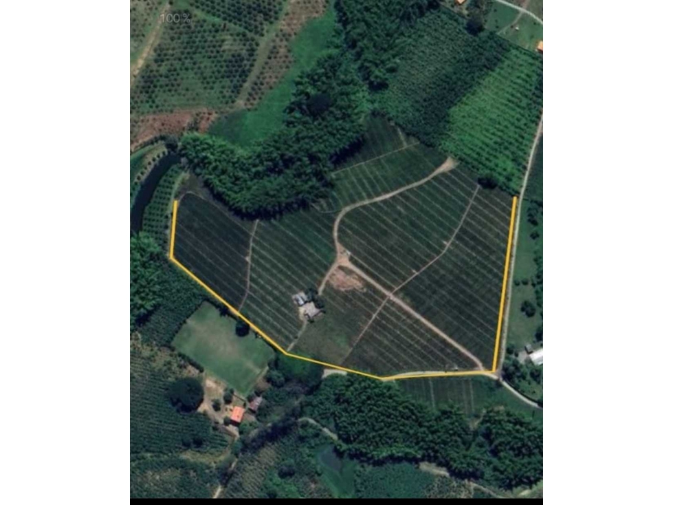 Se vende finca plana en la tebaida, Quindío, Colombia. - 4