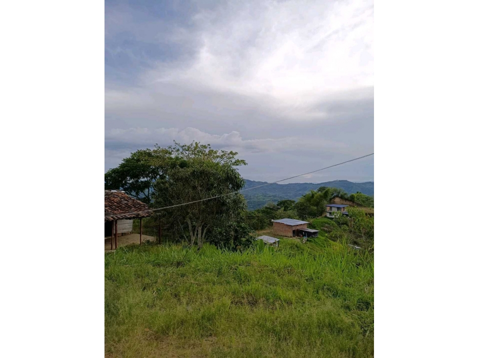 ¡SE VENDE FINCA PORCÃCOLA CERTIFICADA POR EL ICA- MODIN CARTAGO