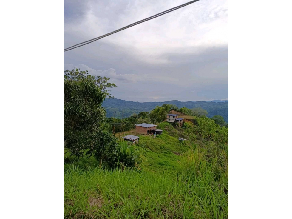 ¡SE VENDE FINCA PORCÃCOLA CERTIFICADA POR EL ICA- MODIN CARTAGO — foto 2