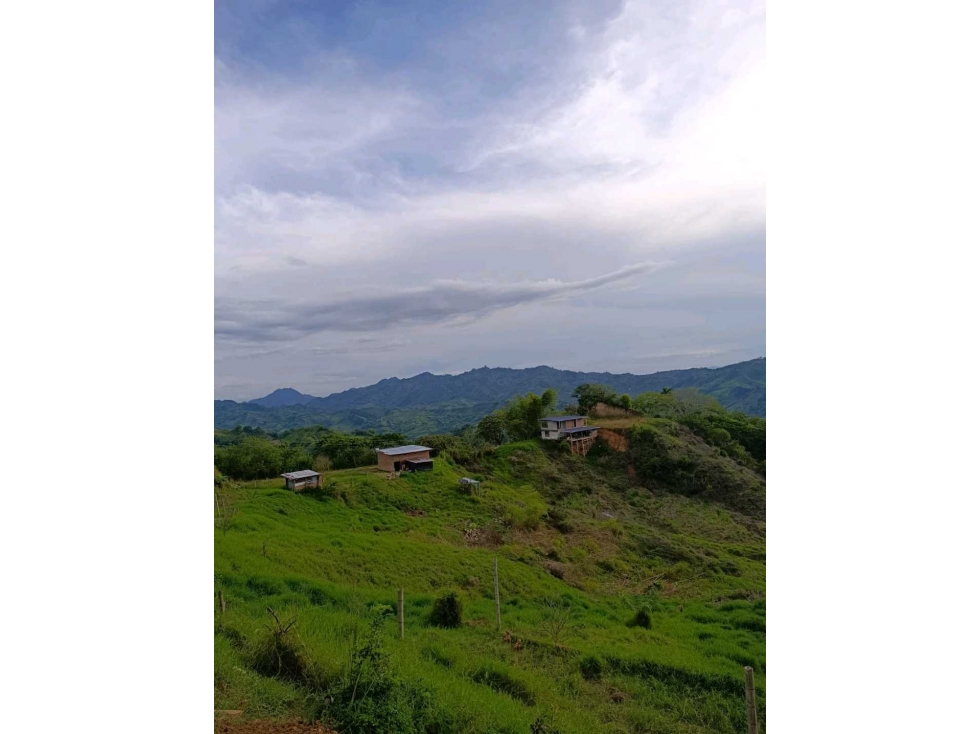 ¡SE VENDE FINCA PORCÃCOLA CERTIFICADA POR EL ICA- MODIN CARTAGO — foto 3