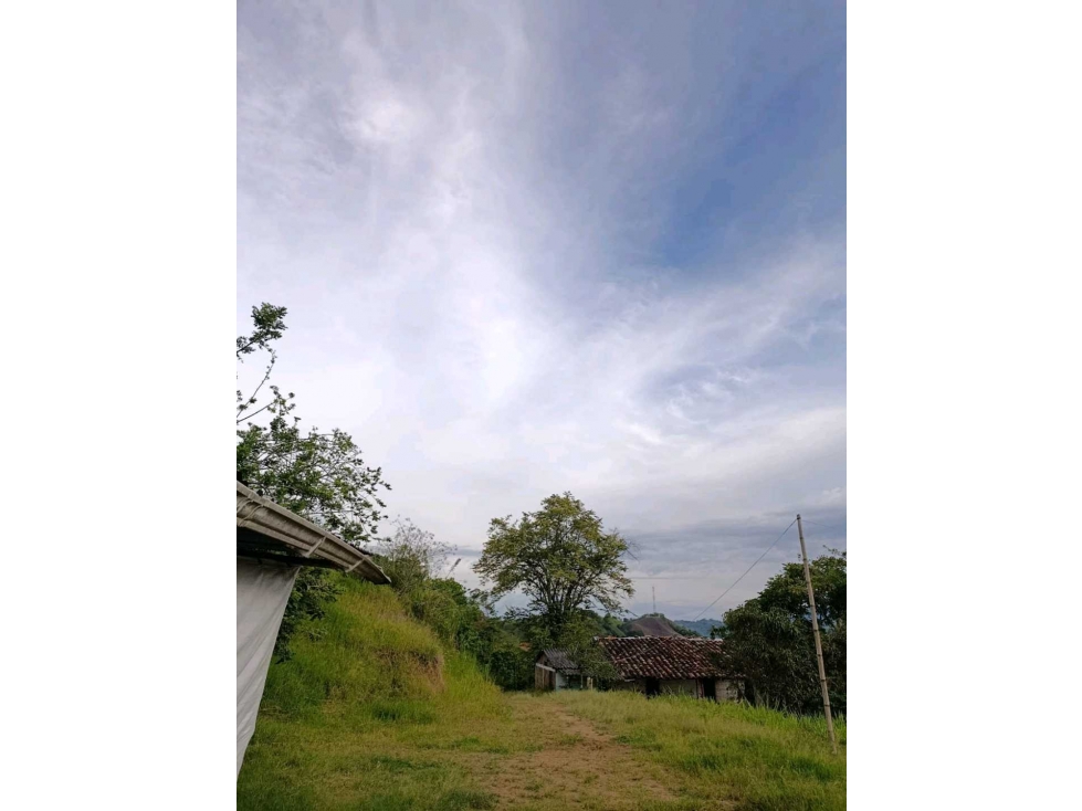 ¡SE VENDE FINCA PORCÃCOLA CERTIFICADA POR EL ICA- MODIN CARTAGO — foto 4
