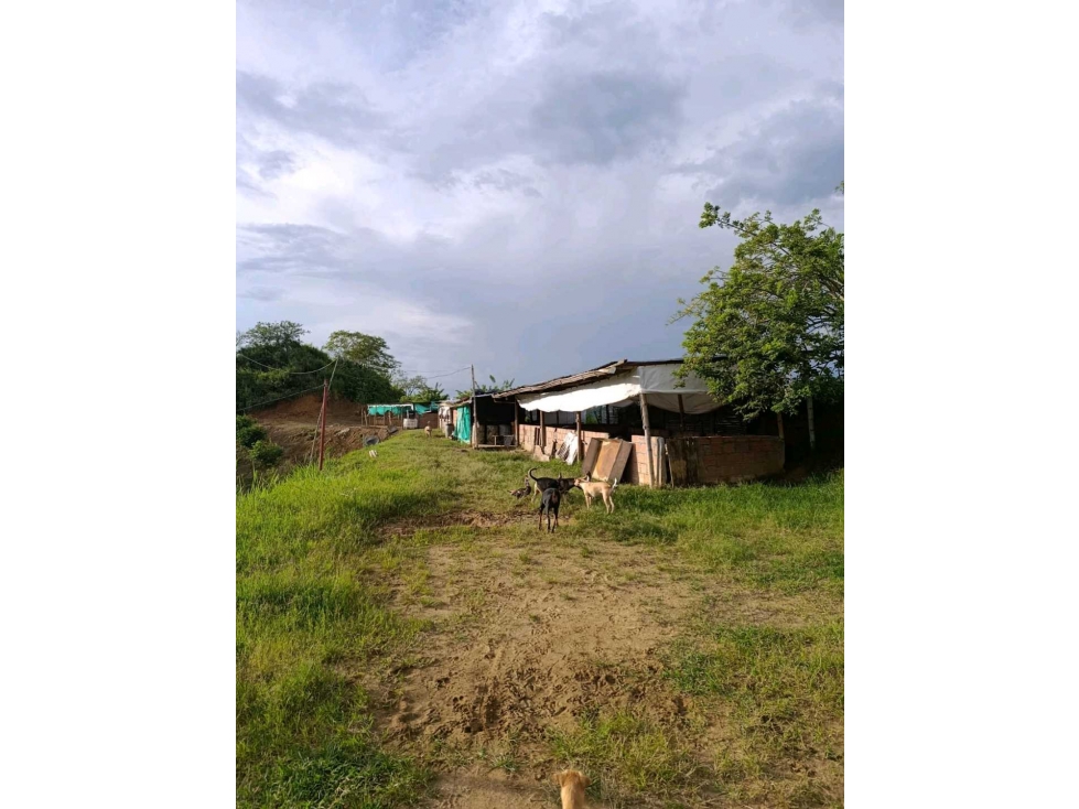 ¡SE VENDE FINCA PORCÃCOLA CERTIFICADA POR EL ICA- MODIN CARTAGO — foto 5