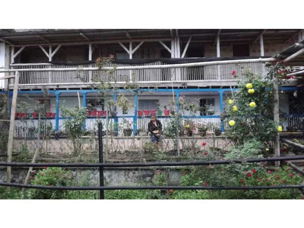 SE VENDE FINCA , 25 Hectáreas , La Florida , Pereira - 1