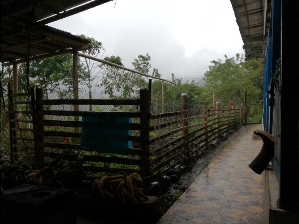 SE VENDE FINCA , 25 Hectáreas , La Florida , Pereira - 5