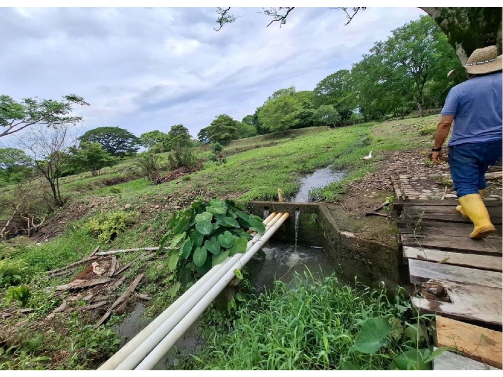 SE VENDE FINCA PRODUCTIVA 34 HECTÁREAS EN PORE, CASANARE - 5