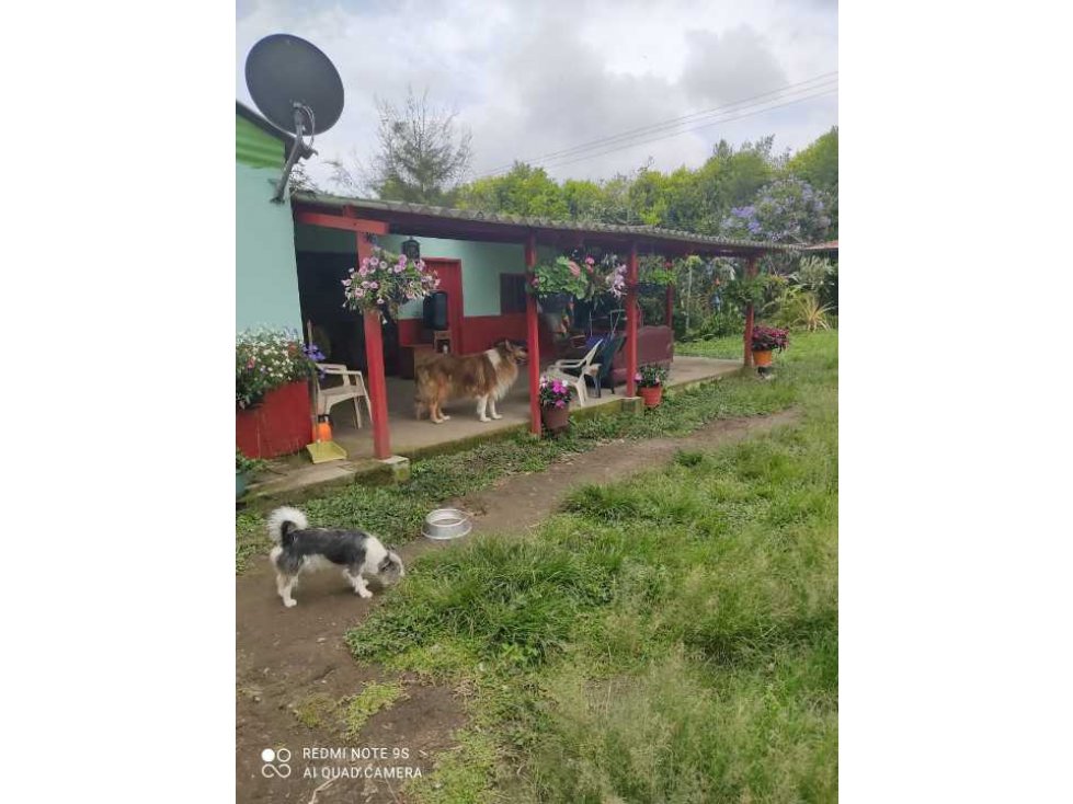 SE VENDE FINCA PRODUCTIVA EN FILANDIA QUINDÍO - 1