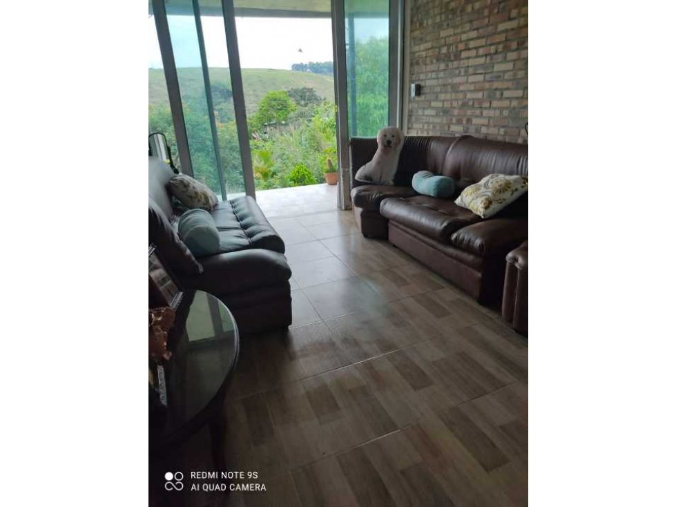 SE VENDE FINCA PRODUCTIVA EN FILANDIA QUINDÍO - 6