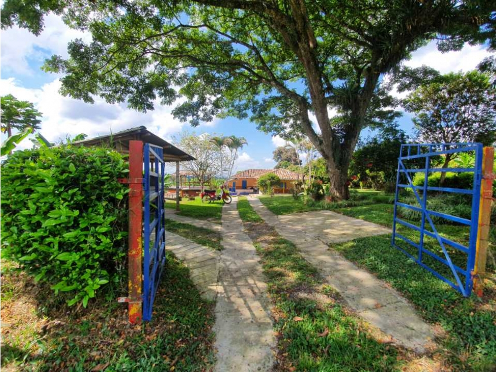 SE VENDE FINCA PRODUCTIVA VEREDA ENTRE FILANDIA - QUIMBAYA - 1