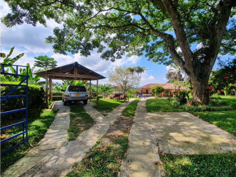 SE VENDE FINCA PRODUCTIVA VEREDA ENTRE FILANDIA - QUIMBAYA - 2