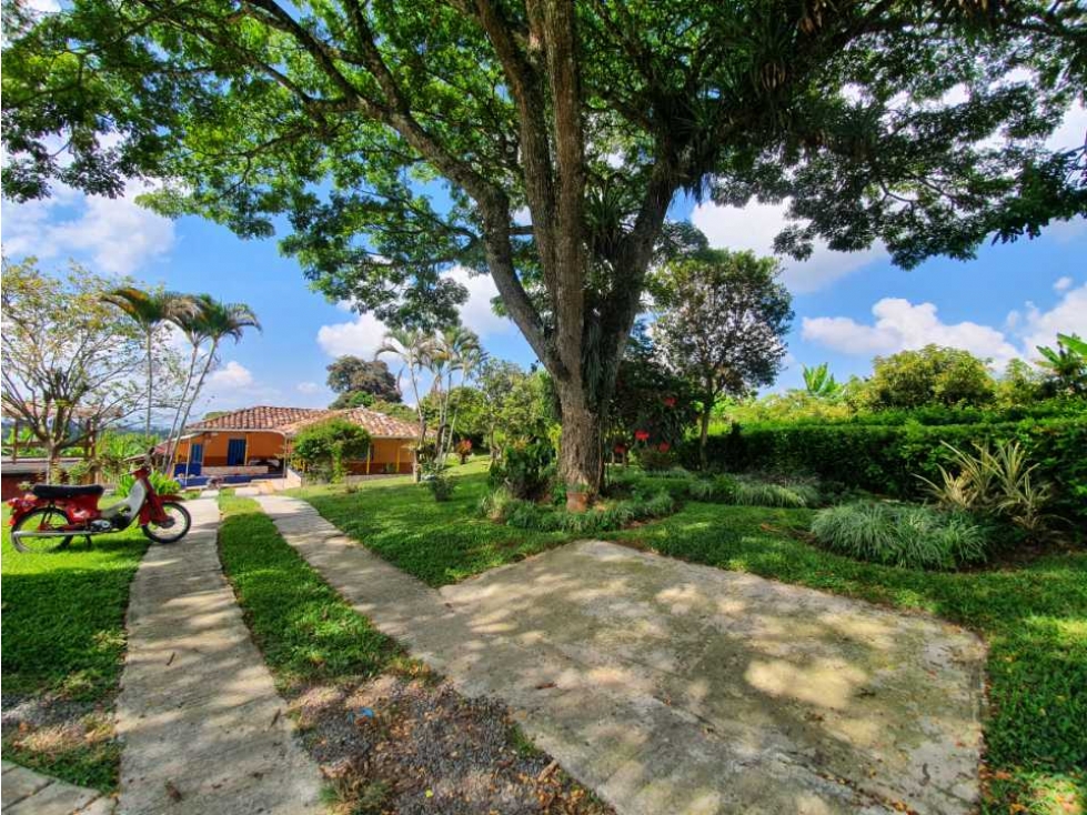 SE VENDE FINCA PRODUCTIVA VEREDA ENTRE FILANDIA - QUIMBAYA - 3