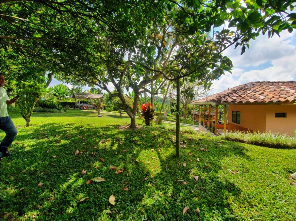SE VENDE FINCA PRODUCTIVA VEREDA ENTRE FILANDIA - QUIMBAYA - 4