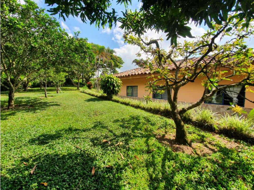 SE VENDE FINCA PRODUCTIVA VEREDA ENTRE FILANDIA - QUIMBAYA - 5