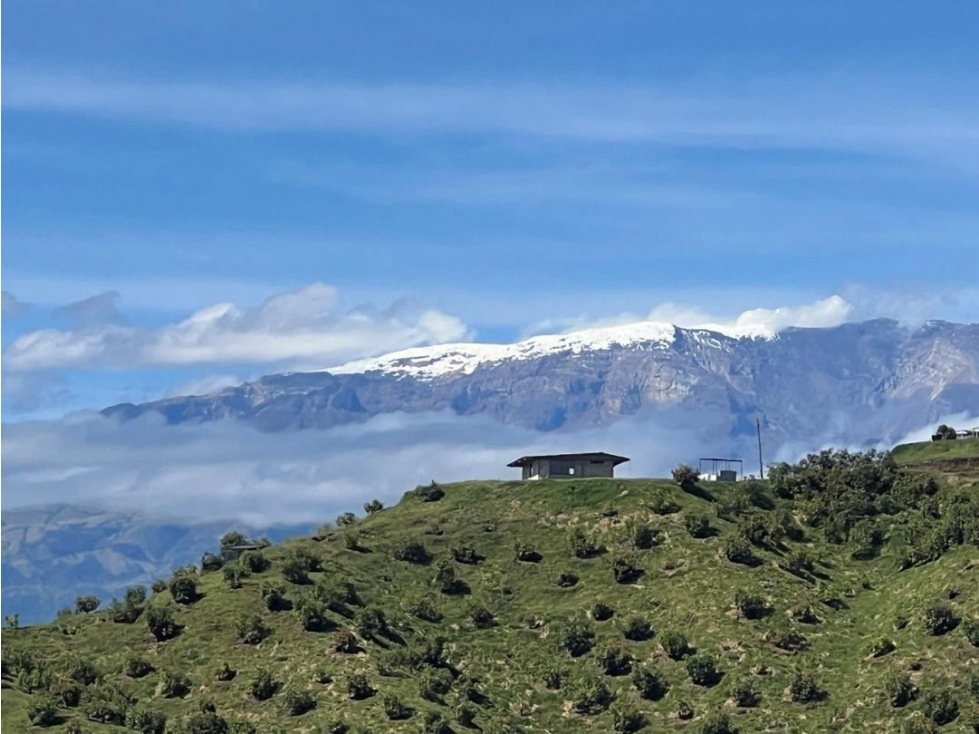 SE VENDE FINCA SEMBRADA EN AGUACATE HASS - 1