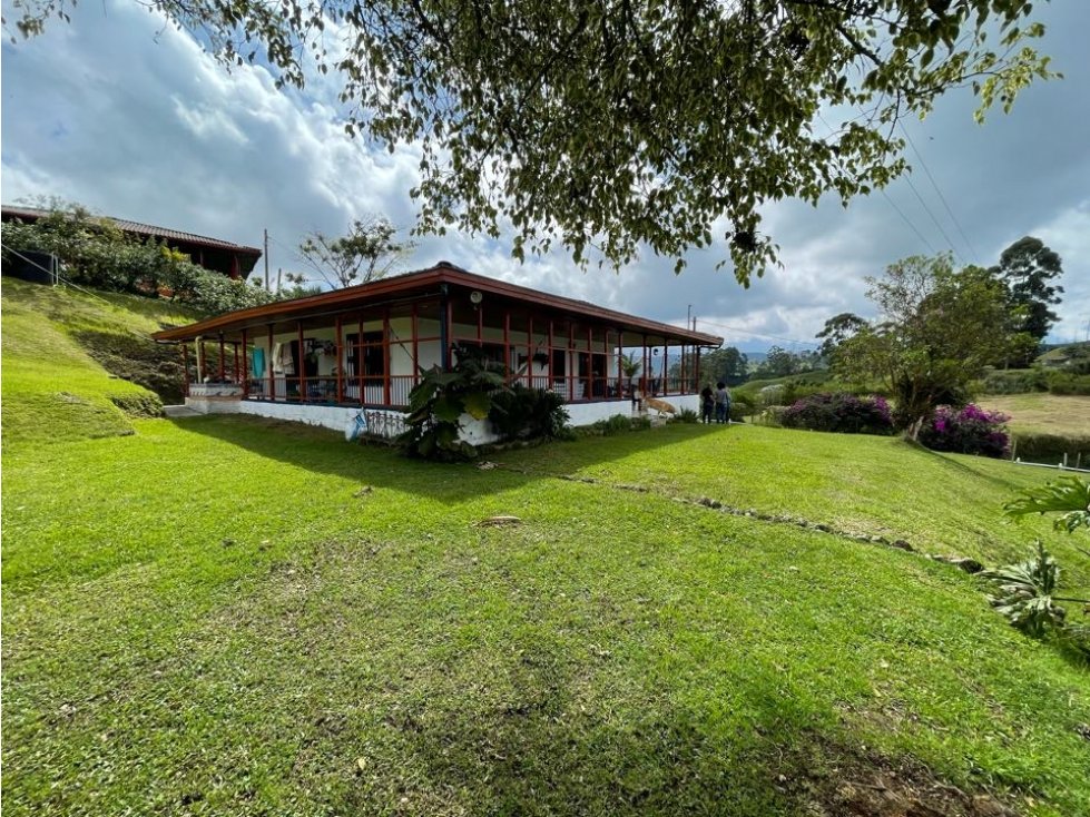 EN VENTA FINCA SOBRE VIA PRINCIPAL ARMENIA PEREIRA — foto 3